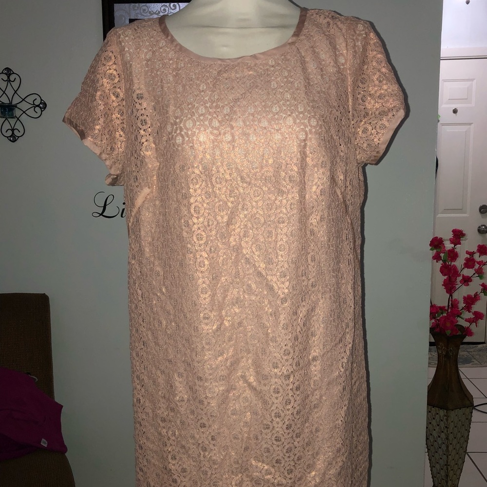 Loft Dress Plus size